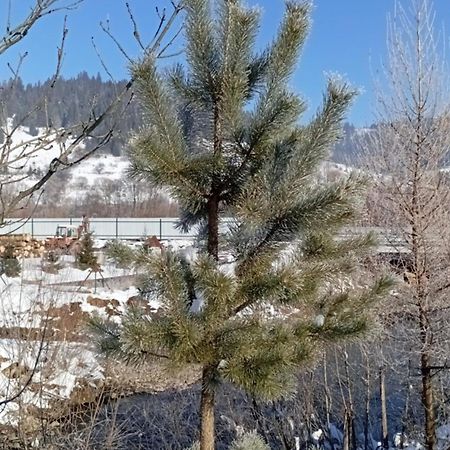 Затишний Будиночок Bukovets Exterior photo